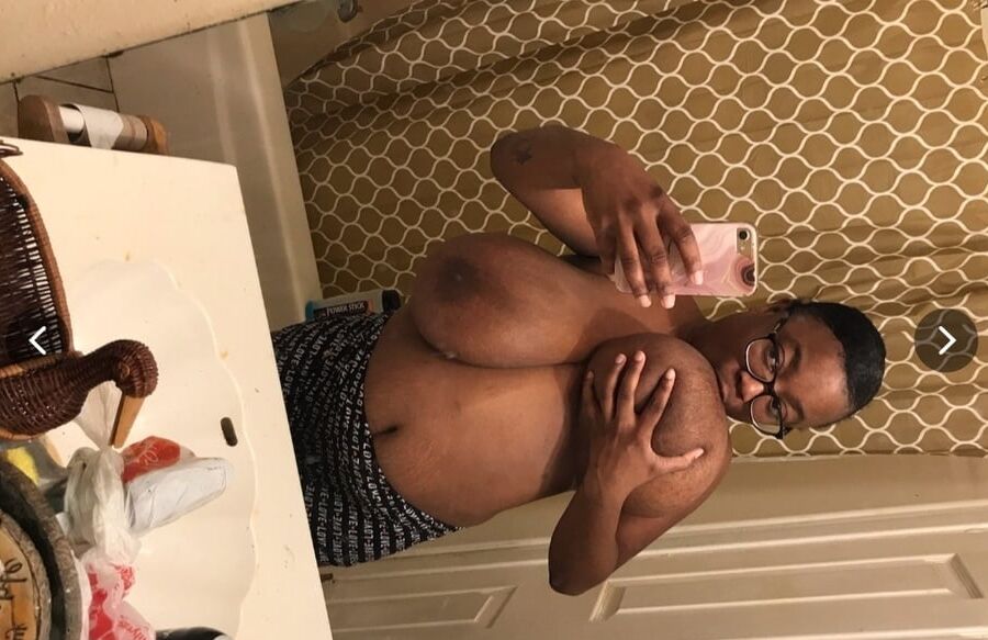 Big Brown Tits