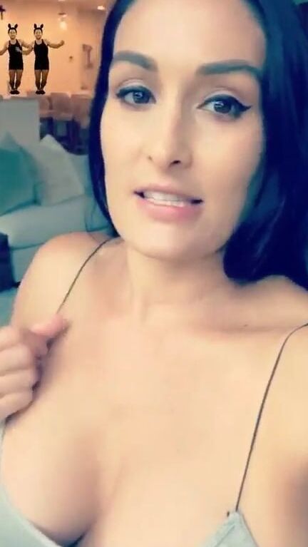 Wwe Nikki Bella