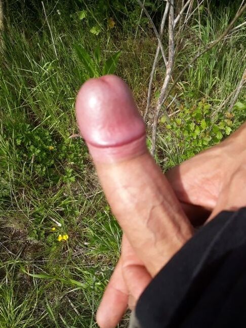 my dick