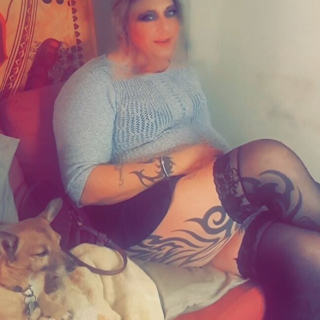 Sissy Fags