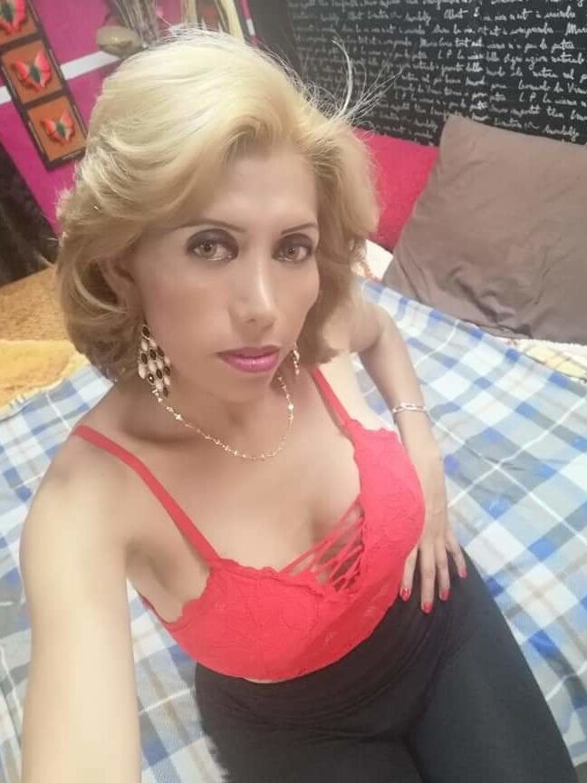My beautiful transsexual whores, female more than a real wom