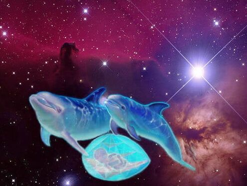Starseed