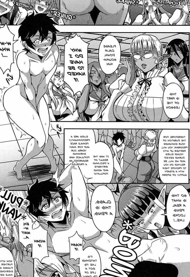 Elf Harem Academia