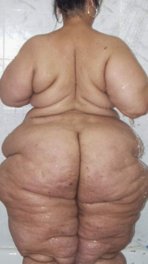 Fat ssbbw suculent asses