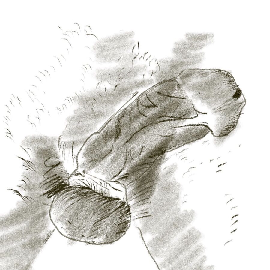 my drawing