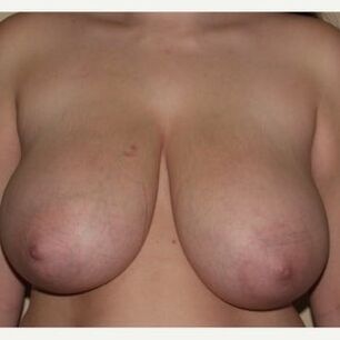 Great tits _