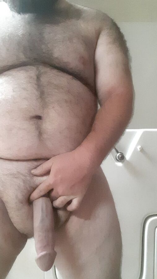 Cock of the Walk