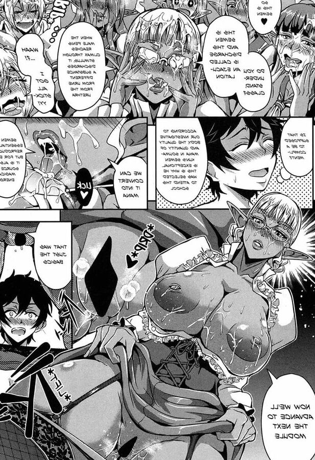 Elf Harem Academia
