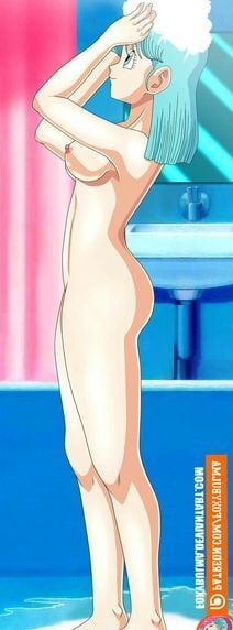 Bulma briefs