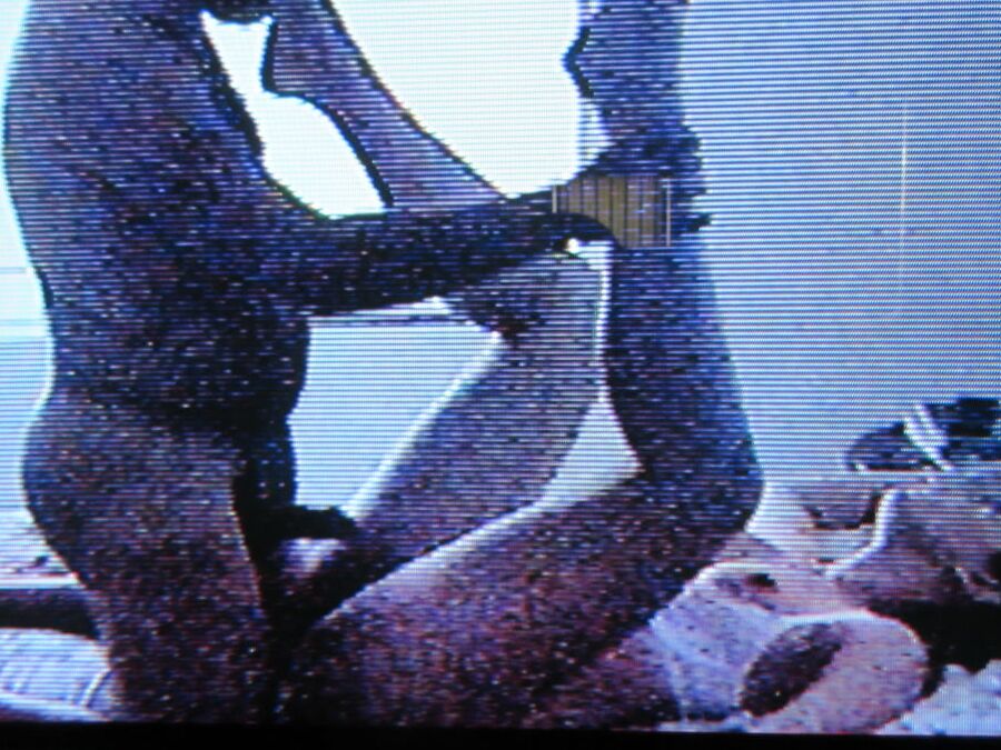 Cuckold XXXV