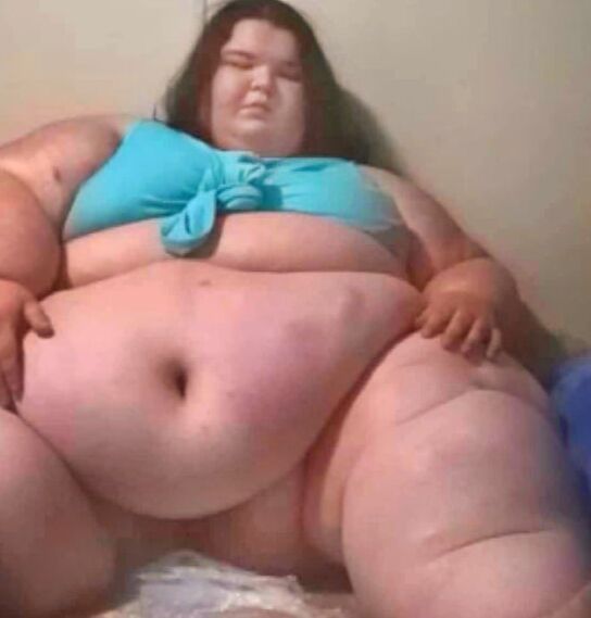 Fat fatter fattest