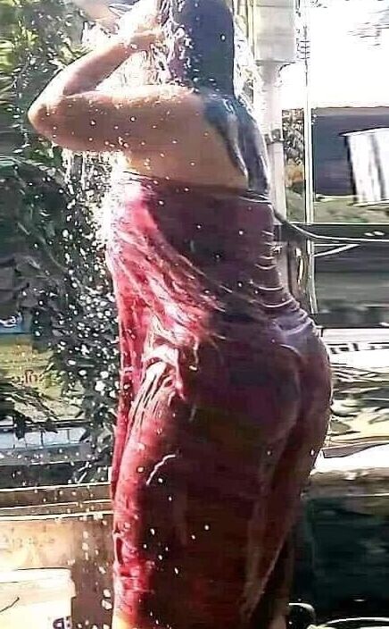 Myanmar ass