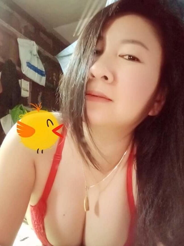 Janda mencari suami