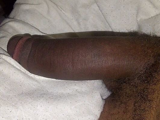black cocks