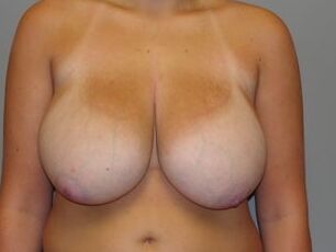 Great tits _