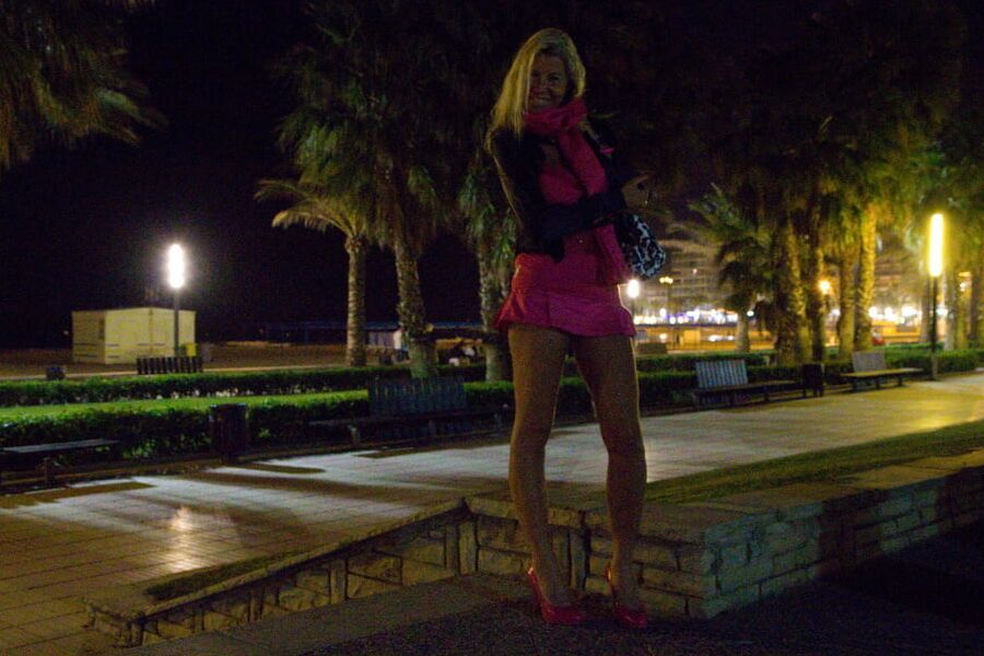Julia Miniskirt no panties