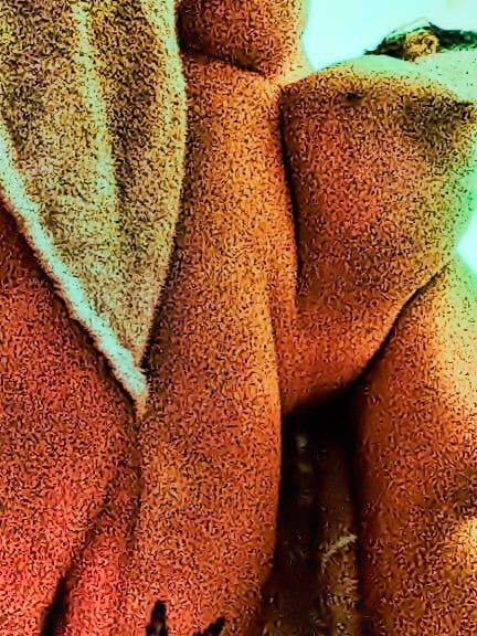 Sluts i fucked