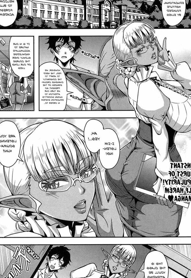 Elf Harem Academia