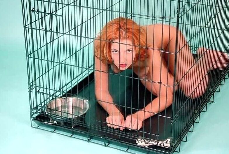 caged dogs
