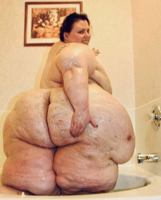 Fat fatter fattest