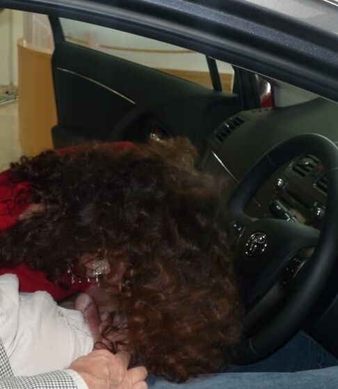 sex in the auto salon