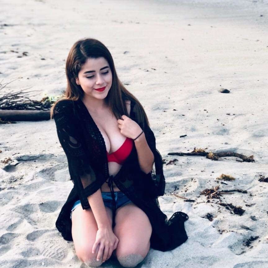 Estafania flores