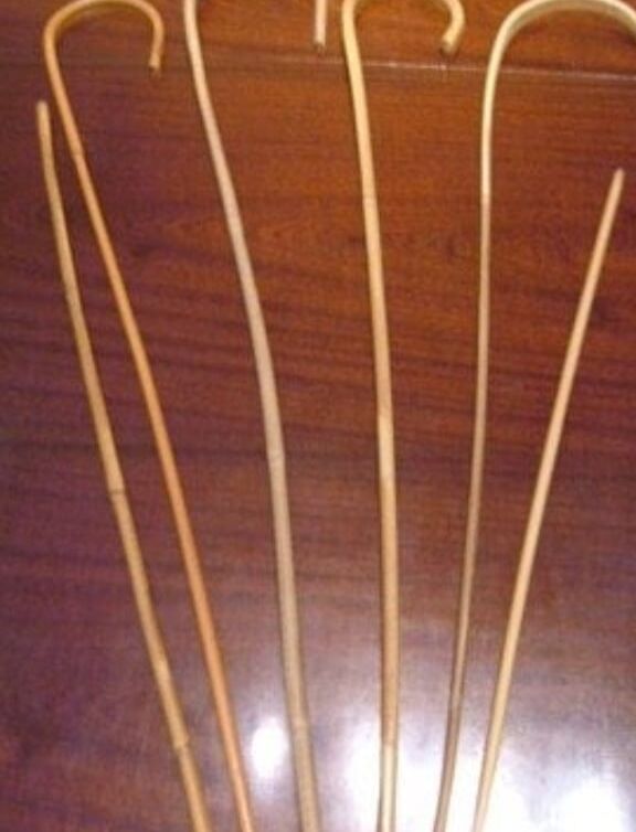 Sweet kiss of the cane