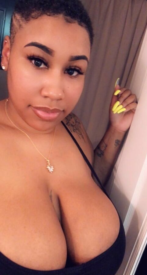 Big Tits Everywhere