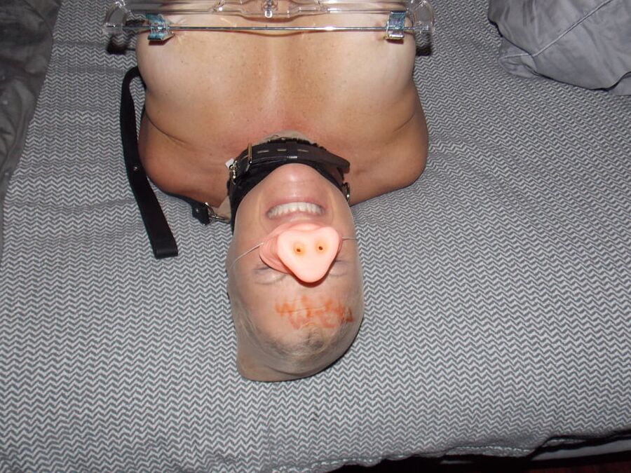 Pantyhosed Maksed Pig