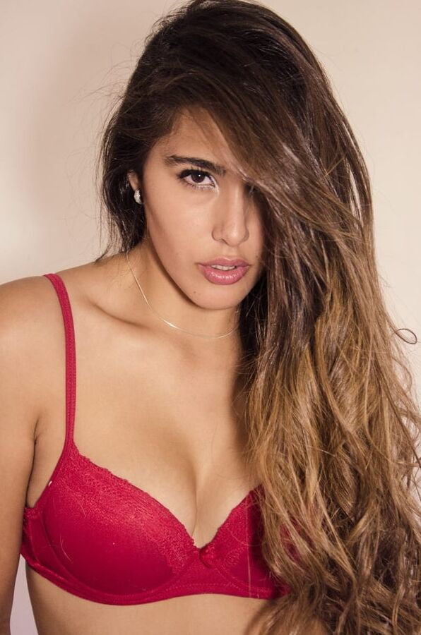 Modelo chilena