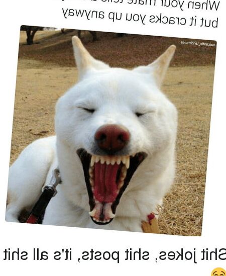 FUNNY? FUCK YEAH, FUCKFACE!!!