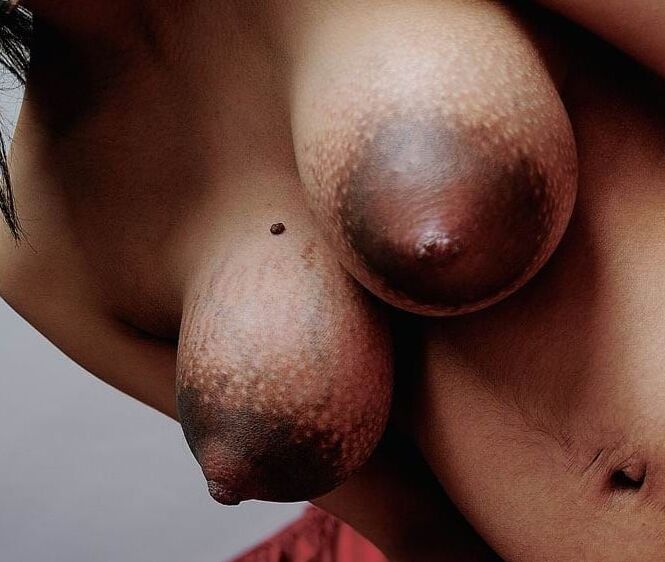 Nipples to suck - Tits - mamelons