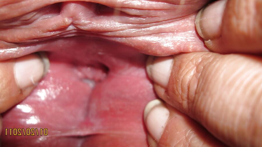Wife Butt Plug (PLEASE COMMENT