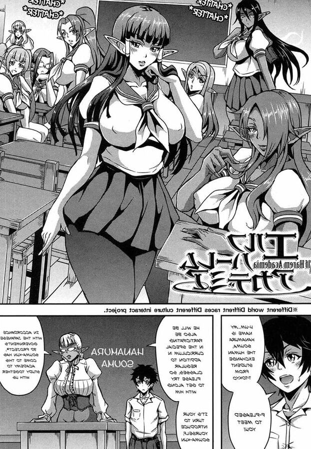Elf Harem Academia
