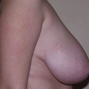 Great tits _