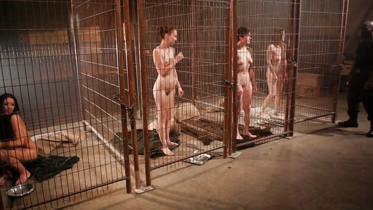 Slaves and Sluts waitng to be sold
