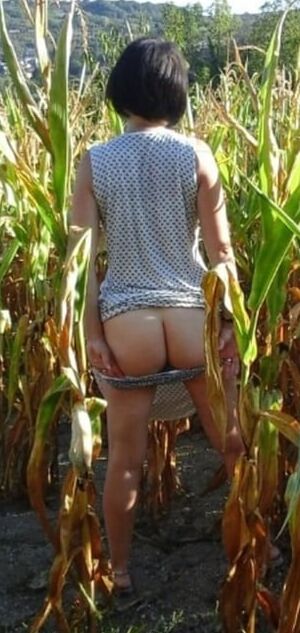 Ass - cul