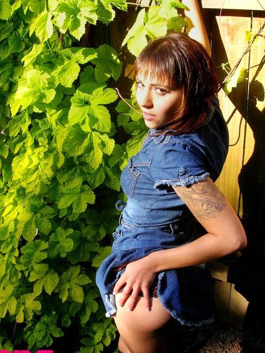 In the backyard