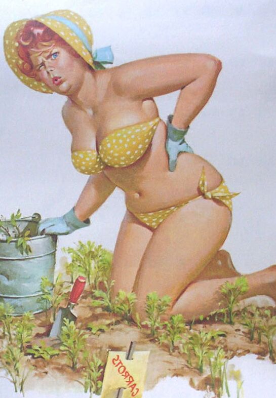 Plus-Size Pin-Up Hilda