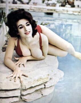 Joan Brinkman