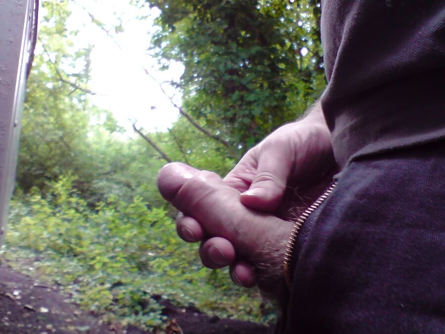 Bois ecangistes