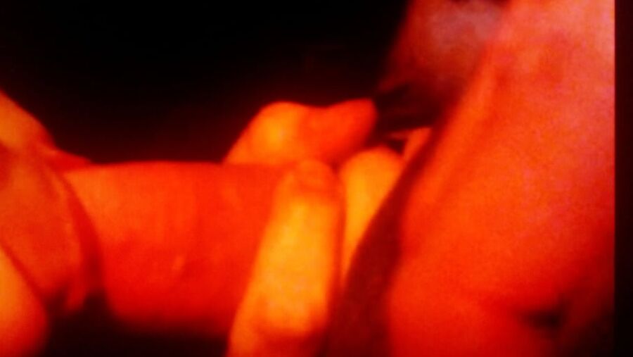 sucking random cock
