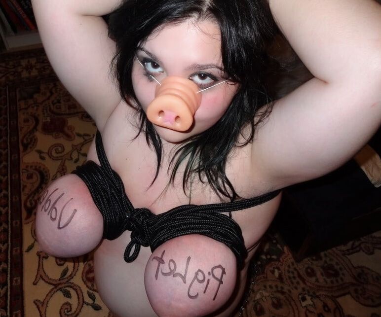 Pig Snout Sluts