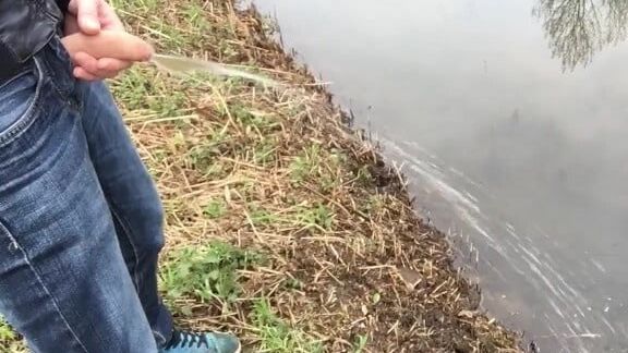 Cocks Pissing