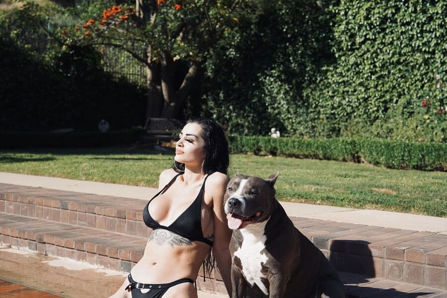 Paige wwe is the hottest woman alive