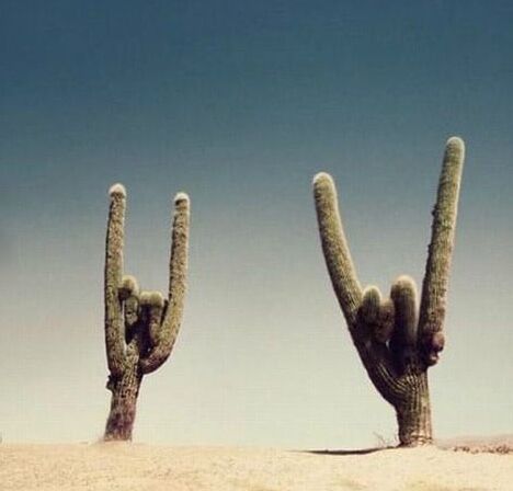 Completely Off Topic! Just Cool Pics