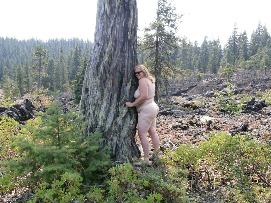 In the Woods