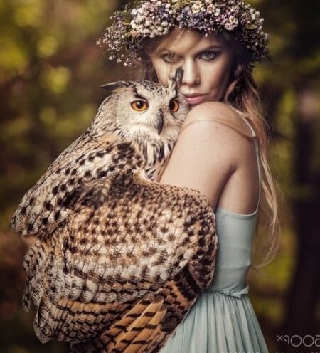 Birds of a Feather