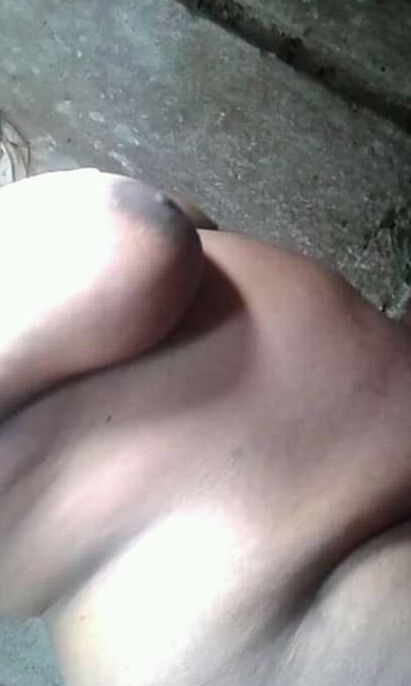 Dammeka auntege wasa puka