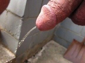 Cocks Pissing